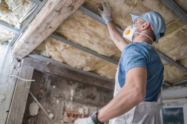 Best Home Insulation Services  in Portage, WI