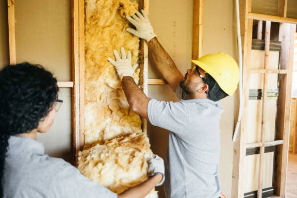 Best Insulation Contractors for Homes  in Portage, WI