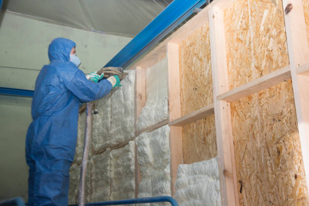 Best Spray Foam Insulation  in Portage, WI