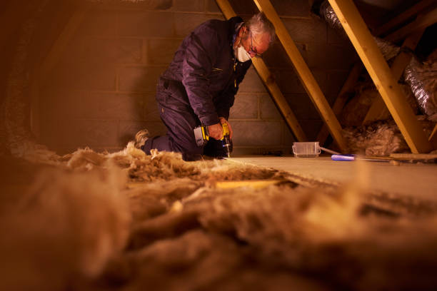 Best Fiberglass Insulation  in Portage, WI